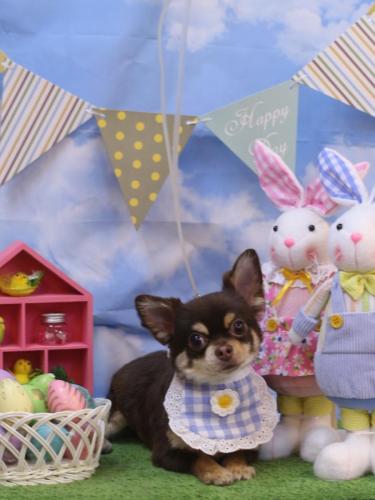 20240302くぅたくん